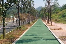 城市綠道